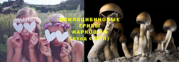 соль курить ск Нязепетровск