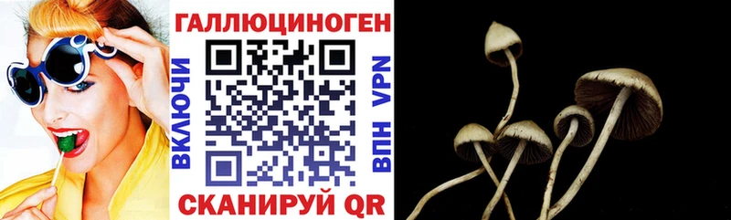 Псилоцибиновые грибы GOLDEN TEACHER Баймак